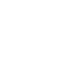 Heart with brain icon